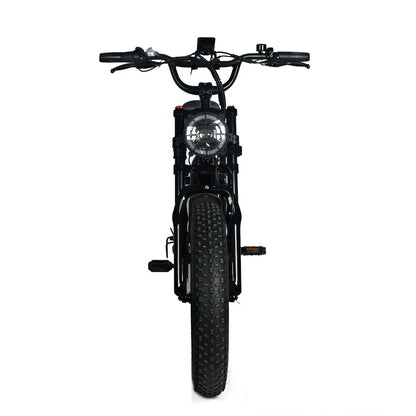 Electric Mountain Bike for Adults | 20 x 4.0 Fat Tires, 1000W Motor, 48V 20Ah Removable Battery, Max Speed 45MPH, Shi Mano 7-Speed for Off-Road Adventures